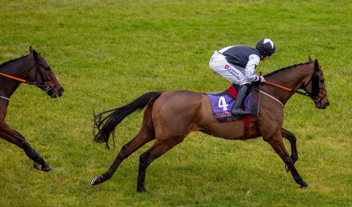 MINELLA CROONER wins the Palmerstown House Estate Pat Taaffe Handicap Chase