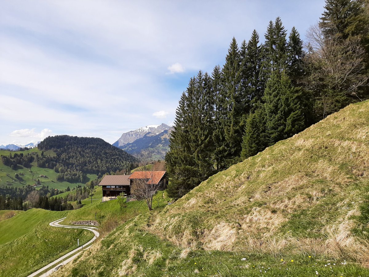 Fast sommerlich #Graubünden