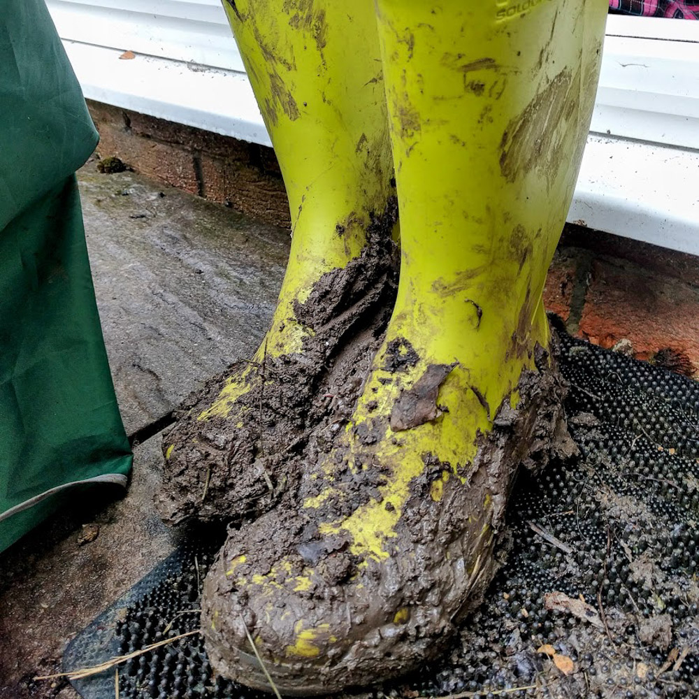 🥾 Checking on our seedlings in the mud. How's your garden handling the wet weather? 🌧️ #gardeninglife #muddyboots #backtothegoodlife #springweather #weatherwatch #rainygarden