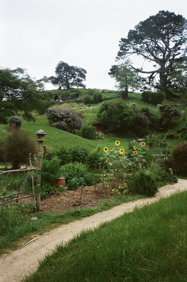 Looking up at Bag End from a garden in the Shire. It felt like walking through another world.