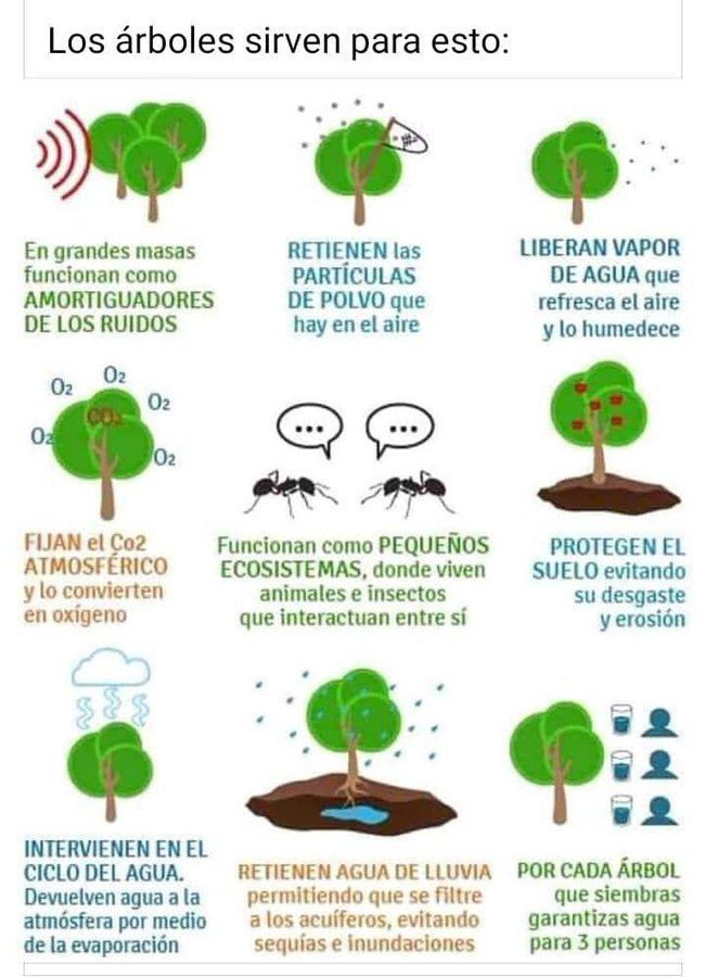 ¿Para que sirven los árboles? #AltoALosIncendiosForestales #NoMásIncendiosForestales #RespetaElPORU #SeUnUsuarioResponsable #PorUnÁvilaSeguro #SalvemosElÁvila #ElÁvilaSinBicicletas #ElÁvilaSinMascotas #LasMascotasEnCasa @darwingonzalezp @duquegustavoS @eliasayegh @JoseVRangelA