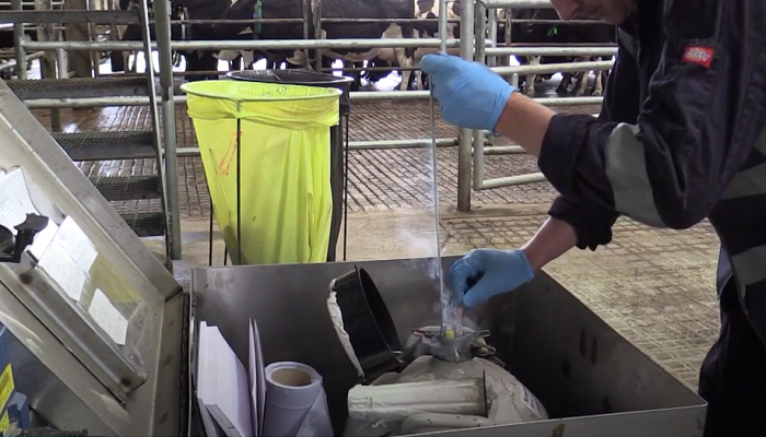 Seán Barry, who works closely with his father Paddy, sells all his calves from the yard, with repeat customers coming back each year. This is the most important factor when working on improving beef breeding in the dairy herd. Read more here bit.ly/44lsA4L