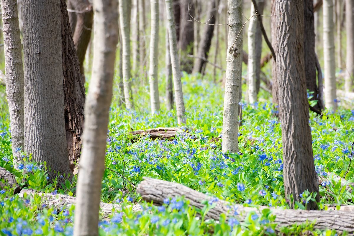 clevemetroparks tweet picture