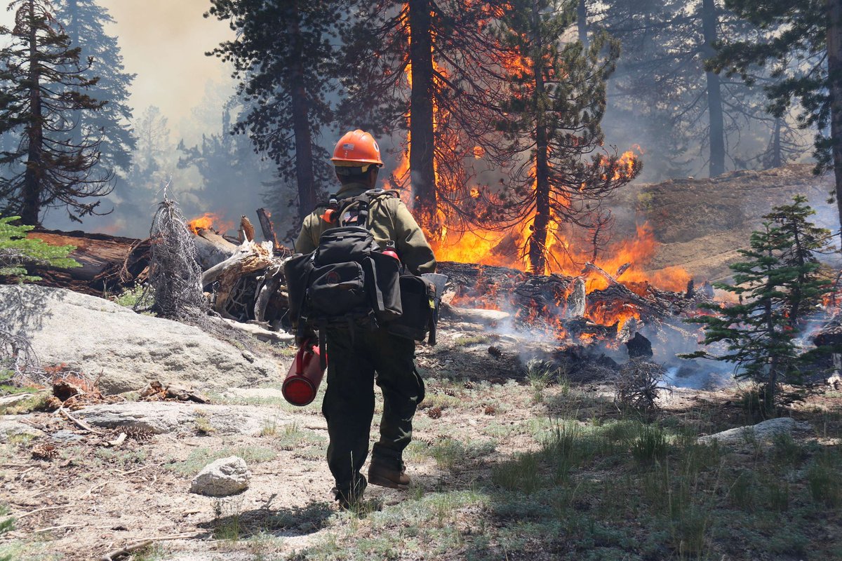 Today is #InternationalFirefightersDay and we share our heartfelt and sincere appreciation for all the wildland firefighters across the country. We cannot thank them enough for the strenuous, yet momentous work they do.

Give a wildland firefighter a shoutout in the comments!