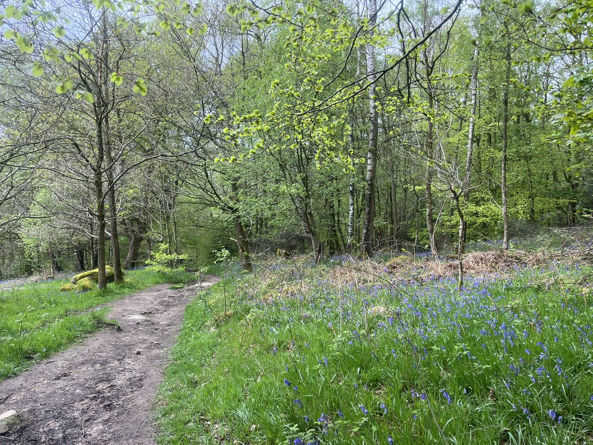 Spring in the peaks. Interestingly nearly 3 hrs quicker over 50km (around 2000m elevation) without lugging a full Spine pack and winter gear. Shows how much they slow you down!