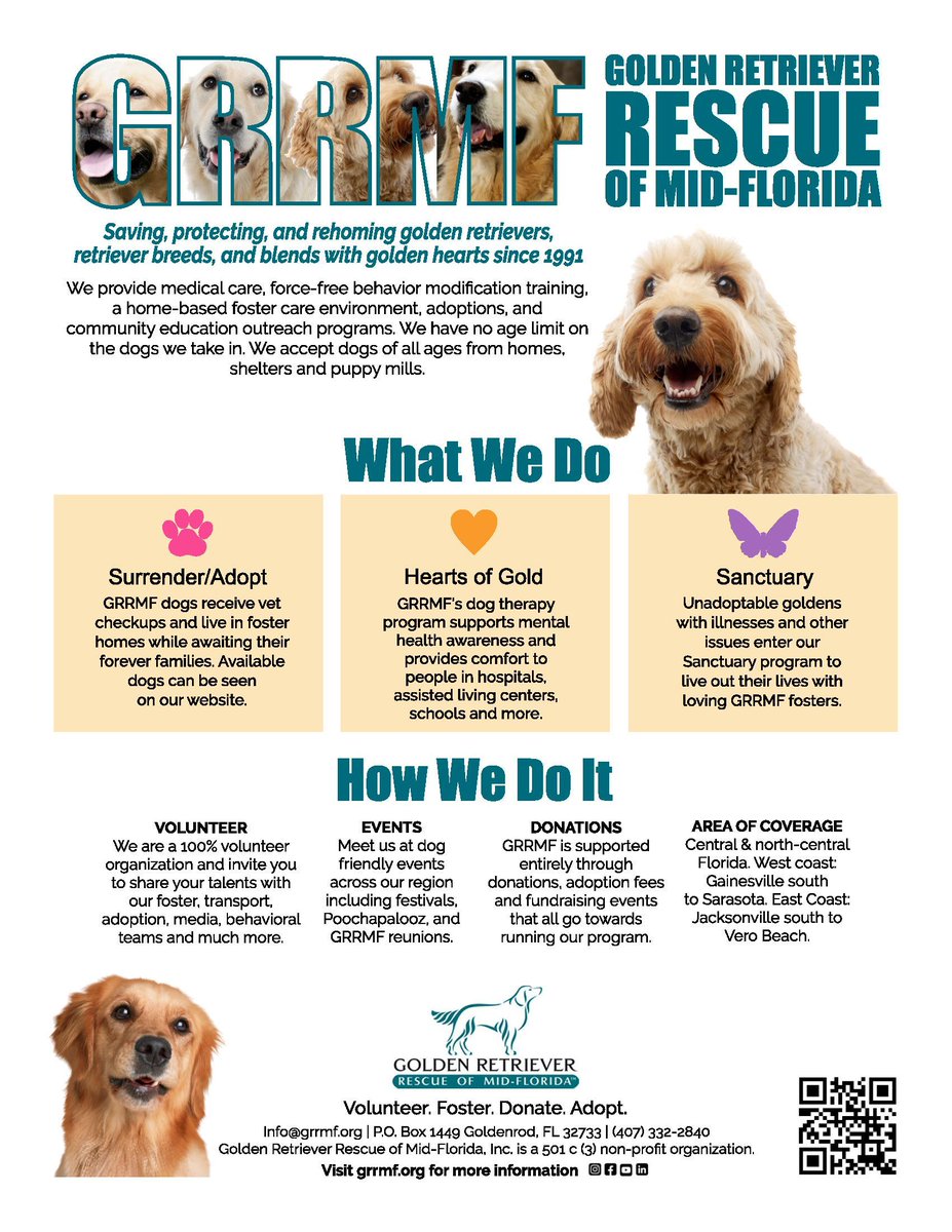 Golden Retriever Rescue of Mid-Florida!
Saving, protecting, and rehoming golden retrievers, retriever breeds, and blends with golden hearts since 1991. 

Find out how you can volunteer at info@grrmf.org