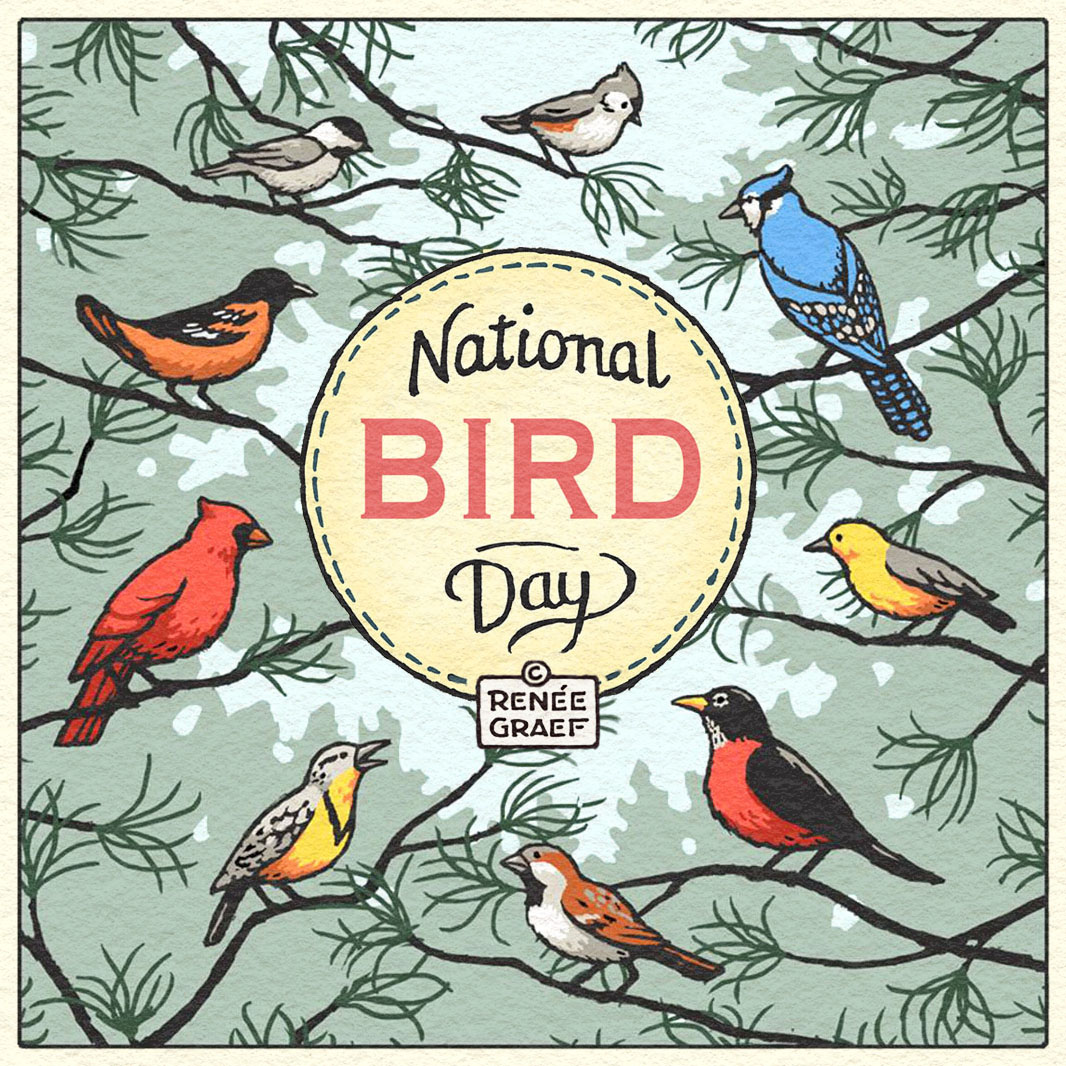 Happy #NationalBirdDay! ~  'The sound of birds stops the noise in my mind.' - Carly Simon 🐦🐦‍⬛🦅🪶