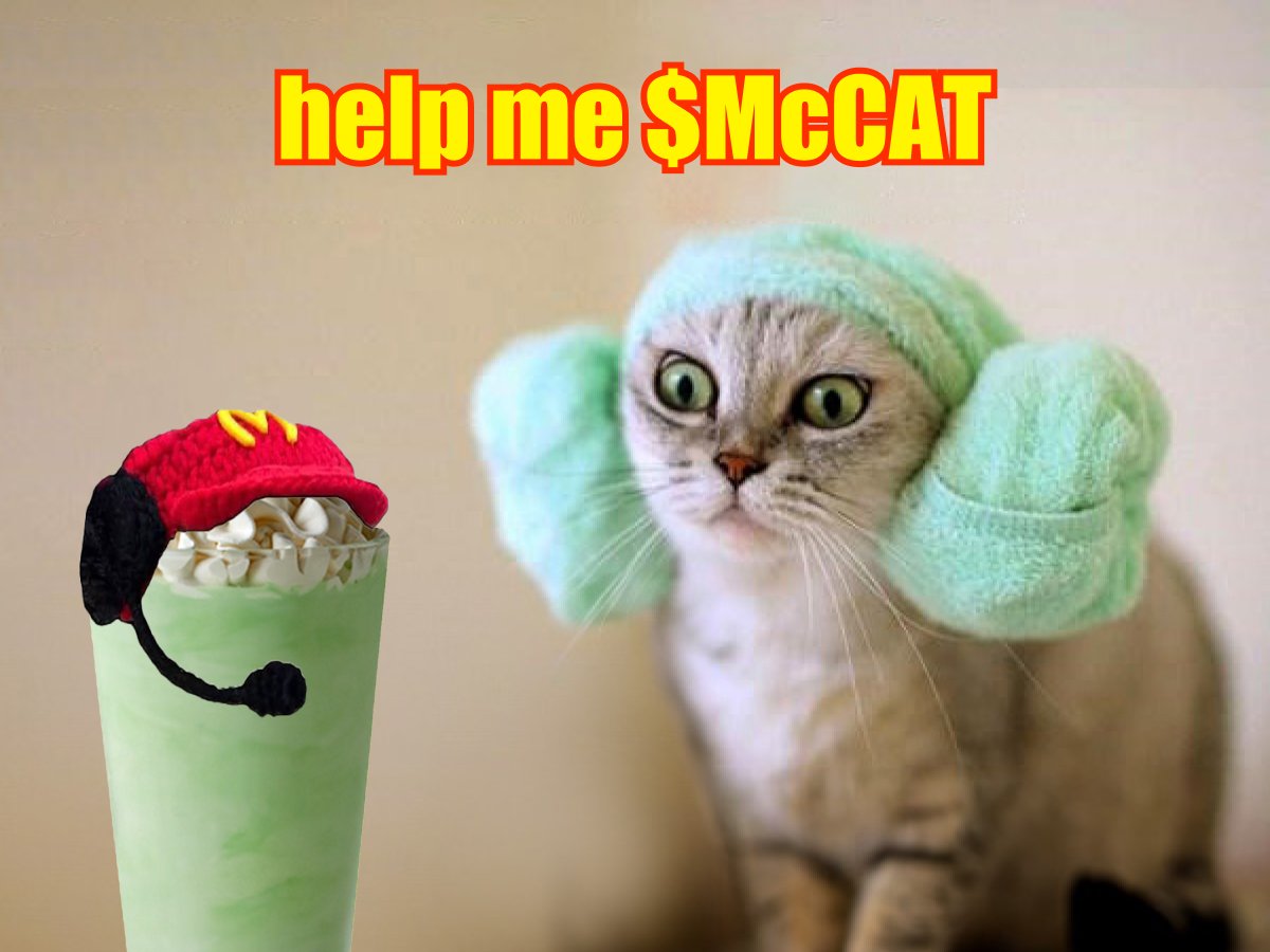 $McCAT is our only hope! 🍔🍟🚚✨ #Maythe4thBeWithYou #StarWarsDay #caturday