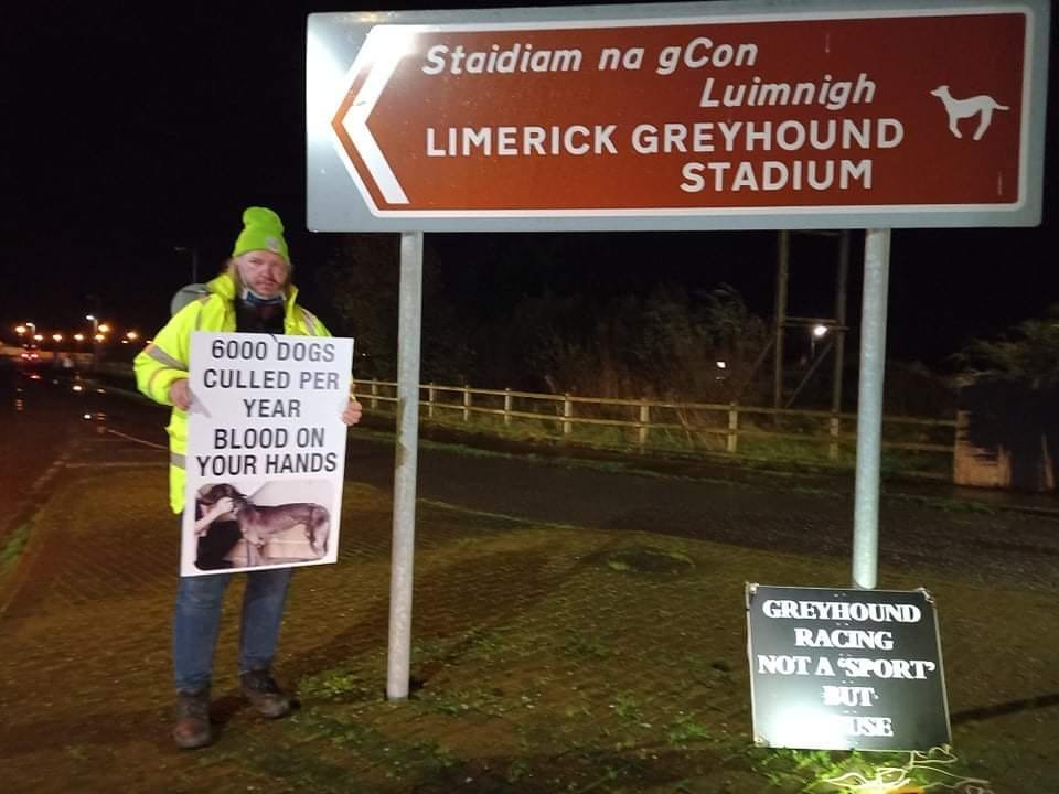 #LE24 local elections candidate and Mayor of Limerick candidate Gerben Uunk (Party for Animal Welfare, #Limerick #NewcastleWest) is campaigning for an end to dog-killing greyhound racing 👍👍 banbloodsports.wordpress.com/2019/11/04/lim… #BanGreyhoundRacing Support compassionate candidates