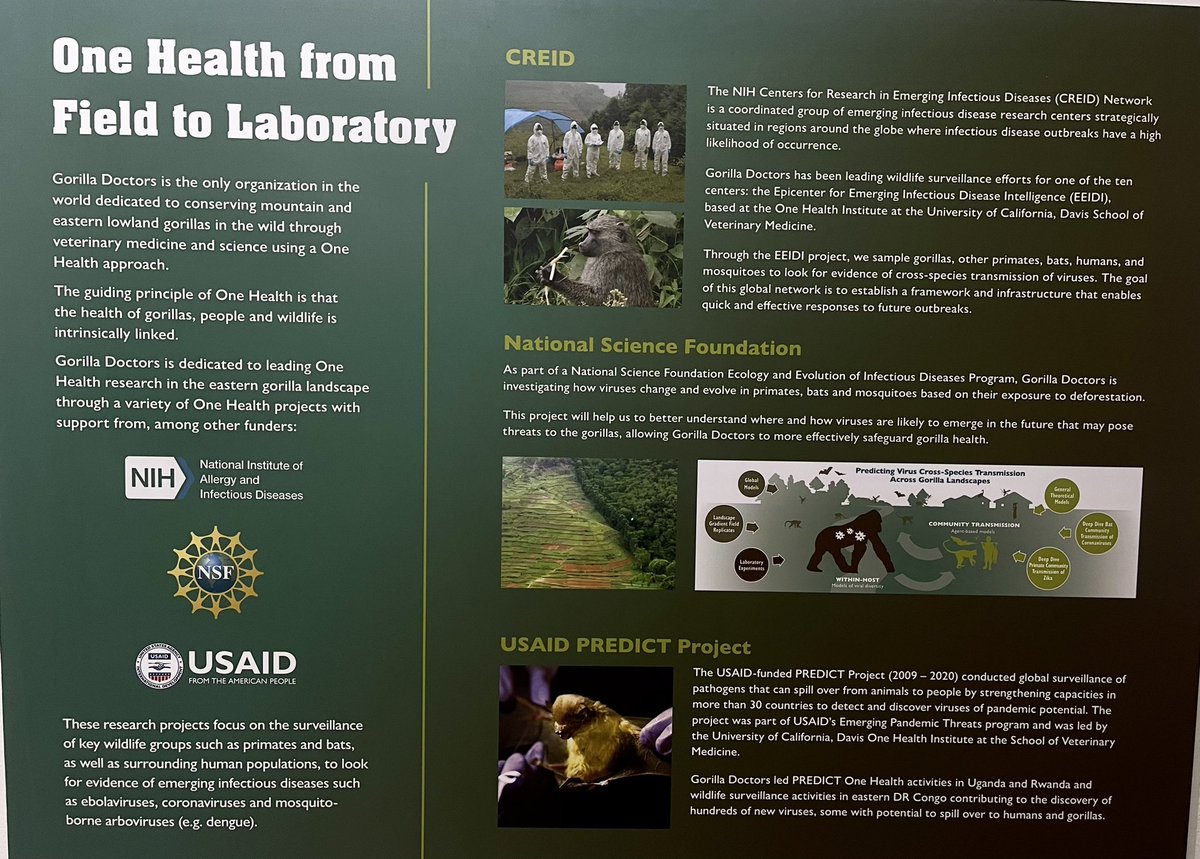 Thank you @GorillaDoctors for the tour today of the cutting edge Regional laboratory #OneHealth in @MusanzeDistrict. @FAO values your contribution to preserving #gorillas in #Rwanda & in the region and for promoting a comprehensive approach to gorilla, livestock, human, soil,…