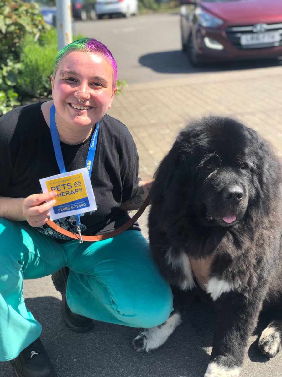 It’s always been a dream of mine to share the joy Hudson brings me to other people having a hard time to need it, and today me and him passed our PAT dog assessment with flying colours!! 
He’s now a certified good boy 🥰🐾
#patdog #petsastherapy