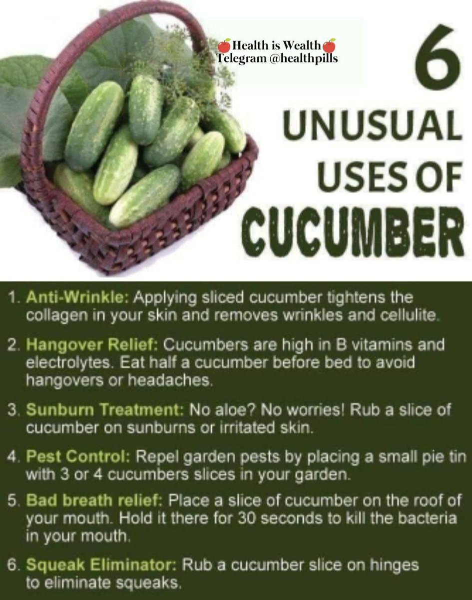 6 UNUSUAL USES OF CUCUMBER

1️⃣ANTI-WRINKLE 
• Applying sliced cucumber tightens the collagen in your skin and removes wrinkles and cellulite. 

2️⃣HANGOVER RELIEF
• Cucumbers are high in B vitamins and electrolytes. Eat half a cucumber before bed to avoid hangovers or headaches.…