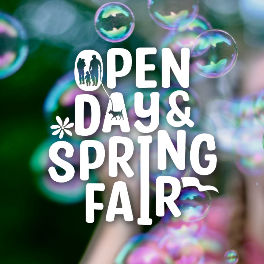 JUST ONE WEEK TO GO until our Open Day and Spring Fair 2024! Bring your family and your dogs along to this brilliant family day out and get involved in a range of activities and trade stands! For more information and to buy tickets: eu1.hubs.ly/H08Xv340 Under 18s go free!