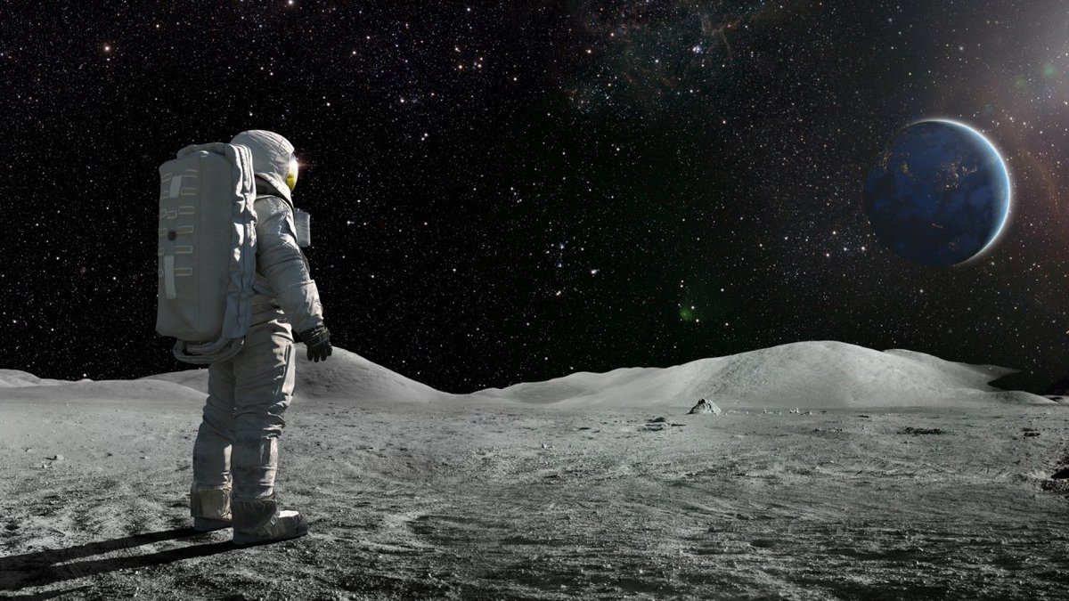 Astronauts on the moon could stay fit by running in a Wheel of Death!

More: spaceze.com/news/astronaut…
-
-
-
#Space #spaceze #nasa #spaceship #spacex #spacestation #universe #astronomy #astronaut #stars #spaceshuttle #explore