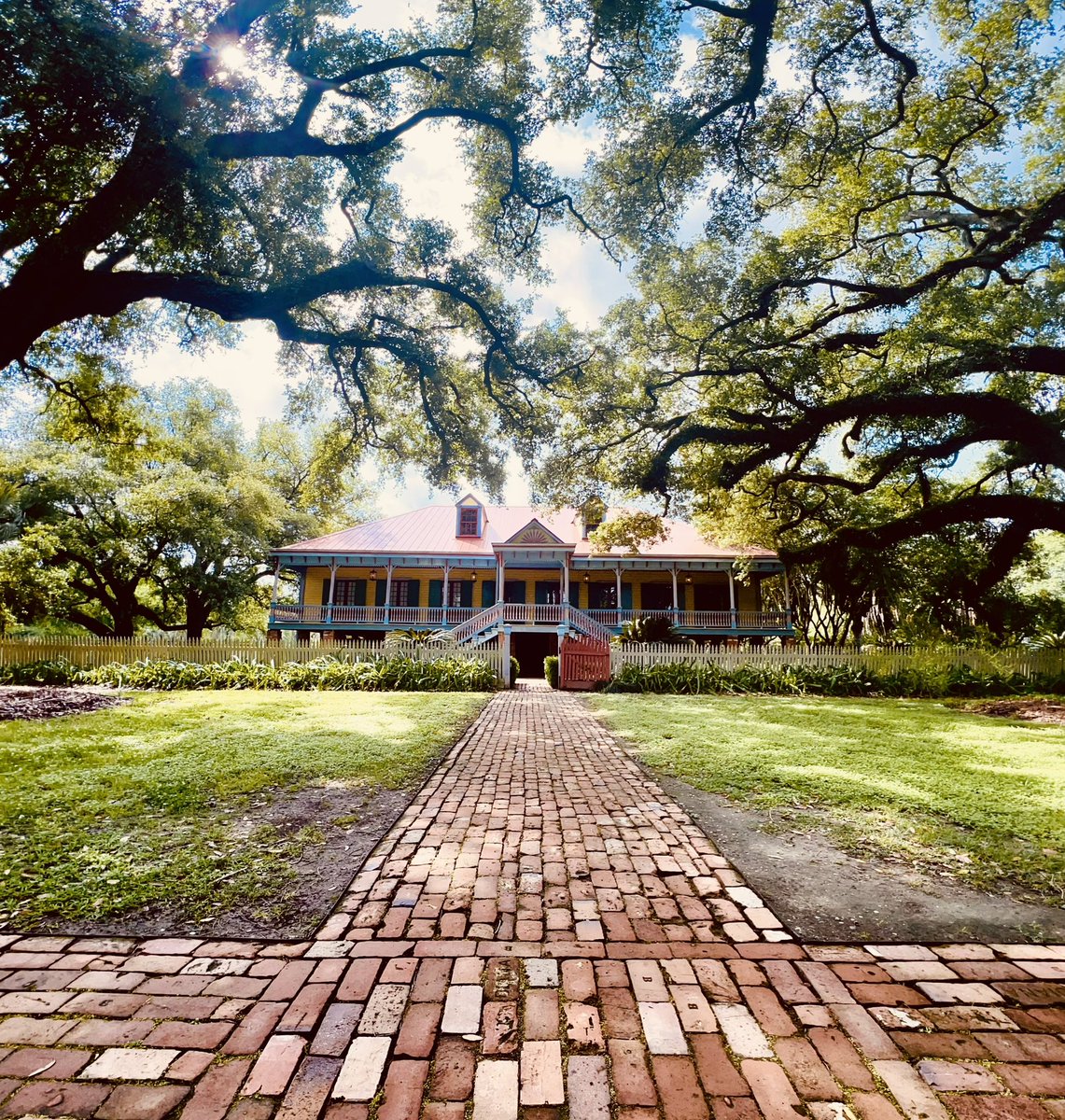 LauraPlantation tweet media