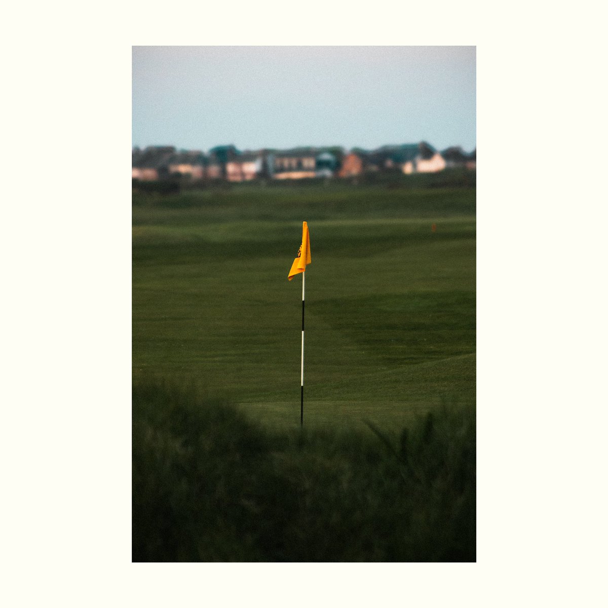 brewleydesign's tweet image. Out on the links