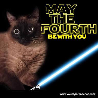 Happy Caturday Twitterworld!!!  It's also a very important day in the Star Wars Universe.