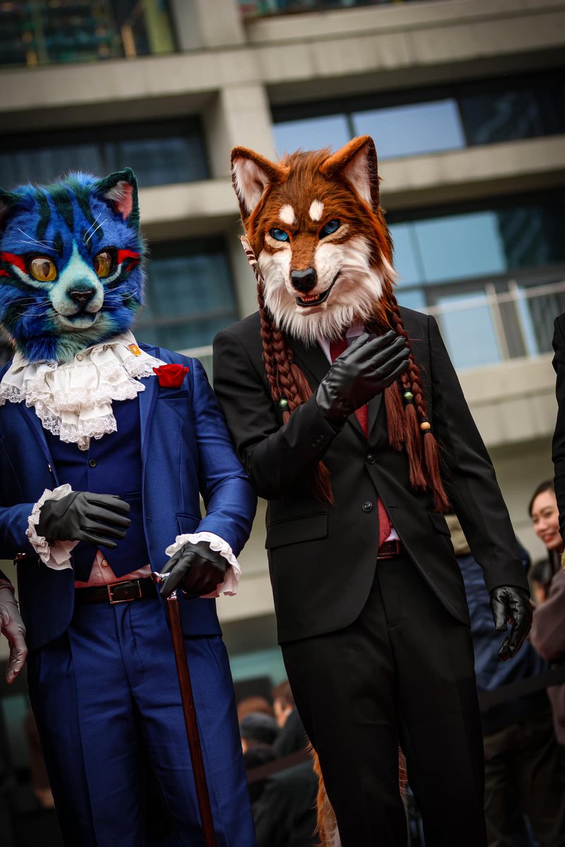 Cat and wolf. Photo by @XiaoFei0227 #suitwalk