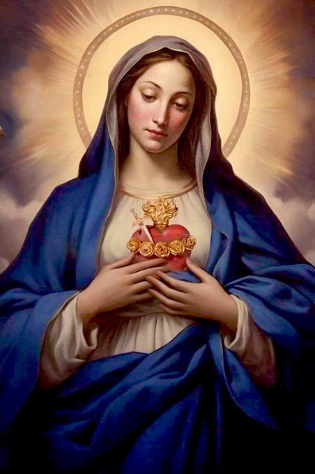 Let's pray one Hail Mary, entrusting ourselves to the Immaculate Heart of Mary. Please comment Amen as a response. #OneHailMarycampaign