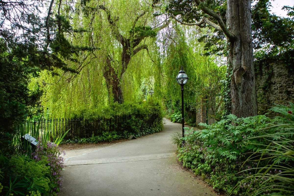 Experience the beauty that blooms at Malahide Castle's Gardens 🦋 Spend an afternoon exploring the fairy trail and butterfly house that are located on the grounds this season! It is a picture perfect family adventure 🔍 dodublin.ie/city-attractio… #lovedublin #malahidecastle