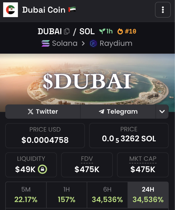 DubaiCoinSolana's tweet photo. Top 10 on DEXSCREENER! $DUBAI https://t.co/VeHKUcifIe