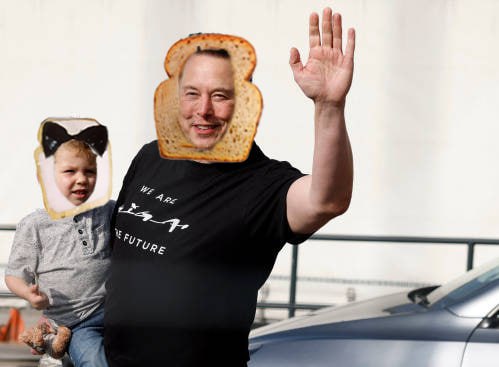 @mayemusk hhh elon likes 🍞😸🍞 Cat in bread. @INBREDCATONSOL