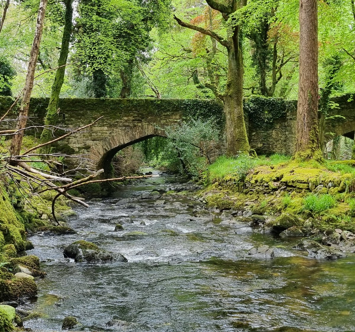 Weer een beetje bijgekomen van de FC stress en vandaag heerlijk gewandeld in Killarney National Parc en o.a. Torc Waterfall bezocht! #Ierland