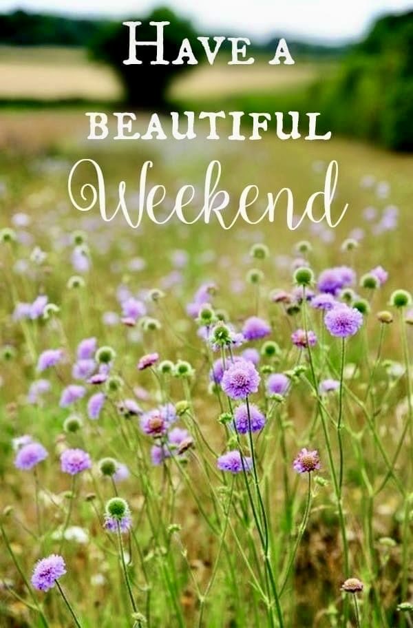 Have a beautiful weekend 💜 🪻🌱🌤️🐎🏒⚾️🏁🎬 #weekendvibes
