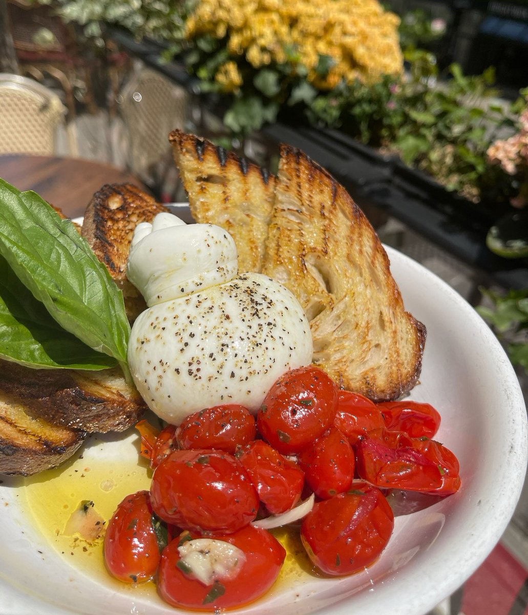 The burrata obsession is real...😍