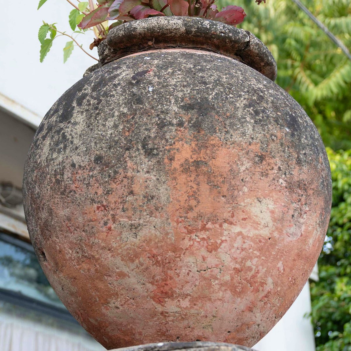 An aged, corroded pottery vessel.

#ref #reference #artreference #rust  #artist #texturereference #texturethings #moss #3d #refs #blender #fyp #digitalartist #blender3d  #scifi  #3dart #details #rustything #detail #rustydetail #3ddetail