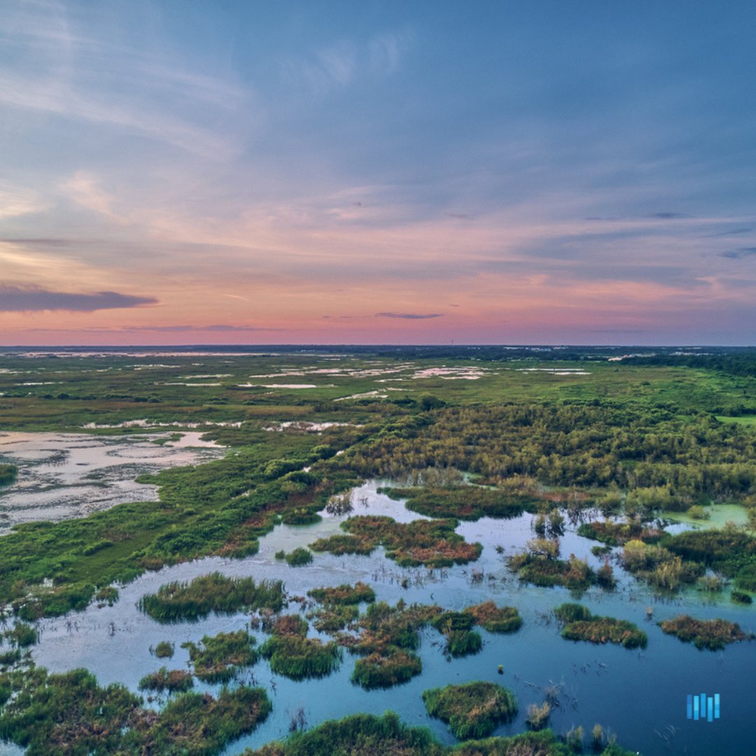 Happy National Estuaries Day! #BCCompanies and its division Collier Environmental Services (CES), celebrate the unique ecosystems which serve as vital habitats for #SWFL species. 🌊💚
.
.
#natureappreciation #conservation #everglades