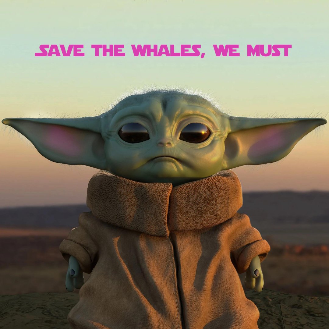 Save the whales, we must. Hmm! Protect the oceans, it is our duty. Wise, we must be, like the sea. 🌊 #SaveTheWhales #Conservation #MayTheFourthBeWithYou #StarWars