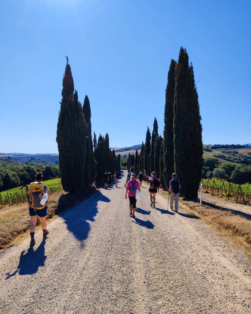 #ILoveFrancigena è il calendario di appuntamenti di @ViaFrancigenaEU per camminare sulla Via Francigena. Le date in #Toscana: 📍 18 maggio, Colle Val d'Elsa - Poggibonsi 📍 25 maggio, Siena - Monteroni d'Arbia Info 👉 bit.ly/I-Love-Francig… 📸 @ViaFrancigenaEU