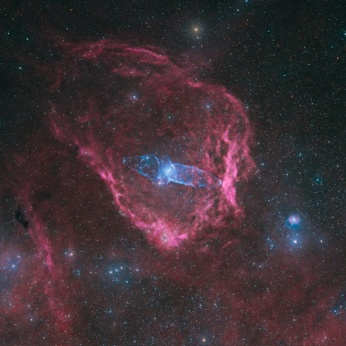 LeeAnneGibbon1's tweet photo. OU4 (Squid Nebula) is a faint planetary nebula about 2,000 light years away in constellation Cepheus. Discovered in 2011 by Nicolas Outters,it's thought to be a low-mass star nearing the end of its life, blasting its outer layers off in different directions. 📷Telescope Live #OU4 https://t.co/05O7SoO4hu