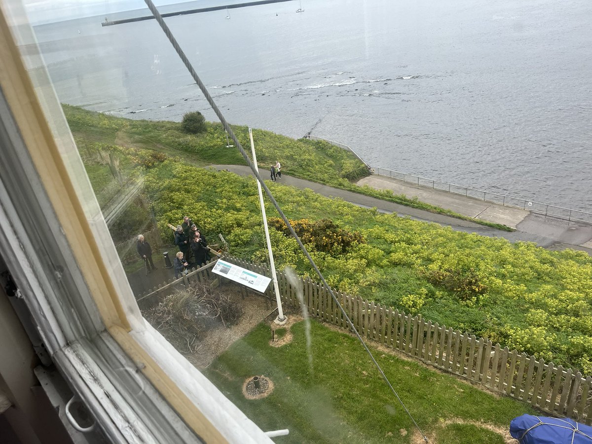 Great views of the male Bluethroat from the top of the Watchguard Museum, Tynemouth today. Great little bird.