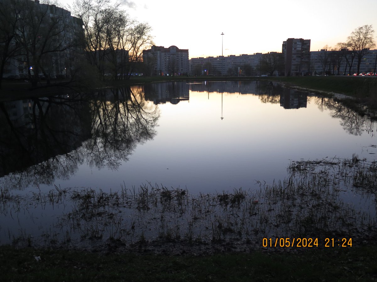 Воронцовский сквер в Кировском районе Санкт-Петербурга Автор фото: Александр ГРИДНЕВ, 01.05.2024 Фотоаппарат: Canon PowerShot G16 #ДачныйПроспект #УлицаЛёниГоликова #ПроспектВетеранов #ВоронцовскийСквер #МОДачное #КировскийРайон #СанктПетербург #Ленинград #СССР #РОССИЯ