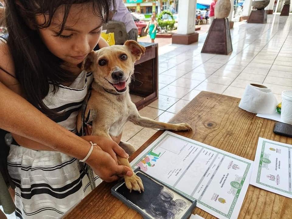 El pasado 30 de abril, en el municipio de Catemaco, Veracruz, se realizó una jornada para registrar a las mascotas, como perros, gatos y hasta tortugas ❤️

🧵