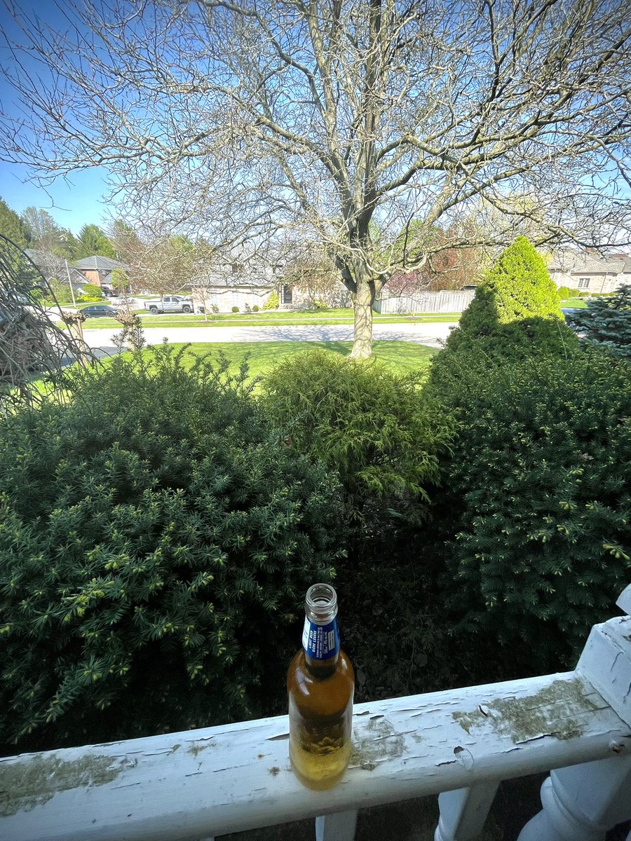 Grass cut. Beer cracked. Looking at my lawn. Ha! Old guy activities and one foot in front of the other. 🍻