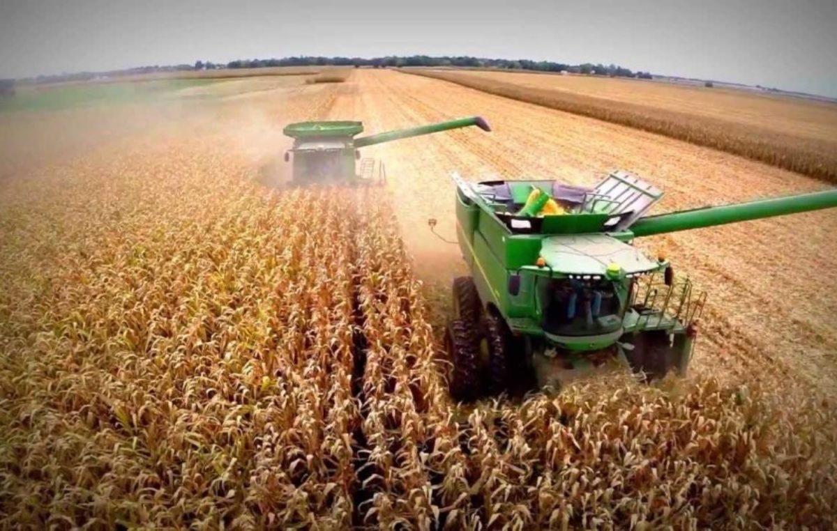 🚨 El gobierno anuncia nueva baja de aranceles para el campo.

👉 Se reducen los aranceles de los agroquímicos y herbicidas.
👉Los fertilizantes pasarán a tener un arancel del 0%.

Milei cumple su promesa, de a poco van bajando los aranceles.
