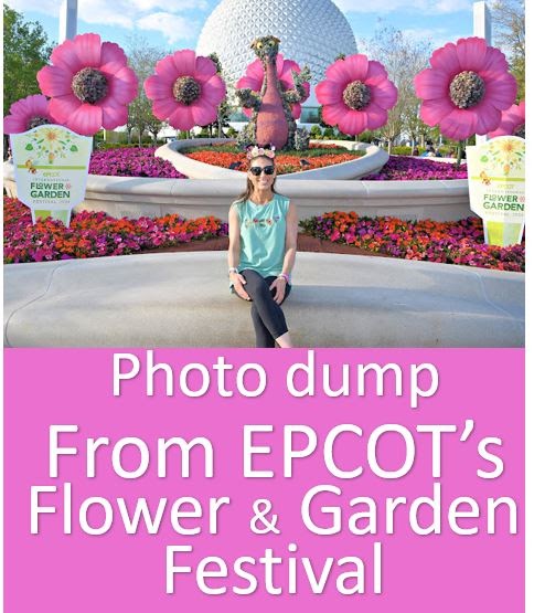 msmeranda's tweet image. Flower &amp;amp; Garden Festival at Epcot: Photo dump dlvr.it/T6Qkrx