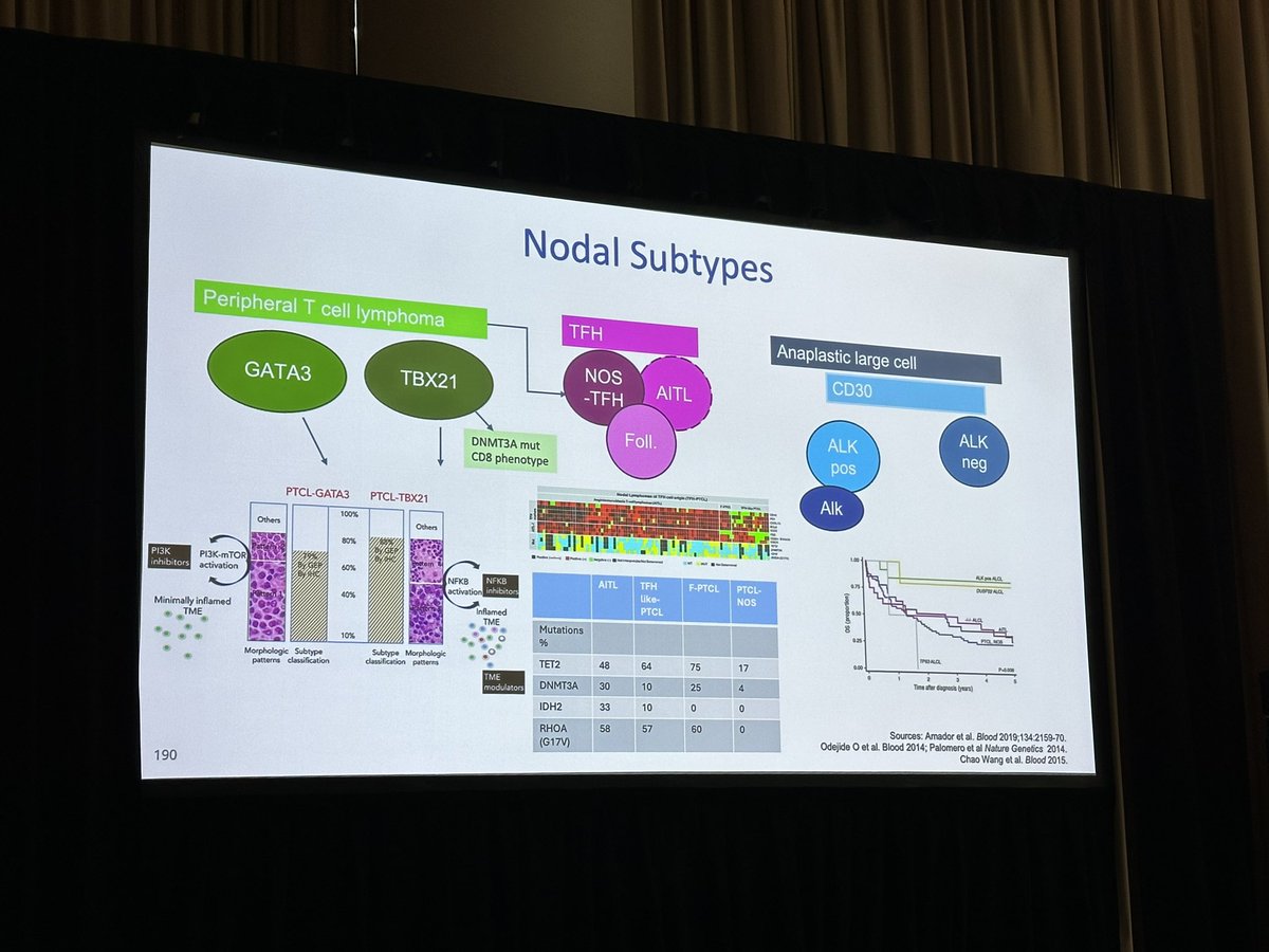 #HOPLive24 #HemOnc Pulse | Awesome T-cell Lymphoma session led by Dr Barbara Pro @bpromd 👏 @chadinabhan @sanamloghavi @MediHumdani @DrAEvens @mshadman @ASkarbnik #lymsm @mpdrc