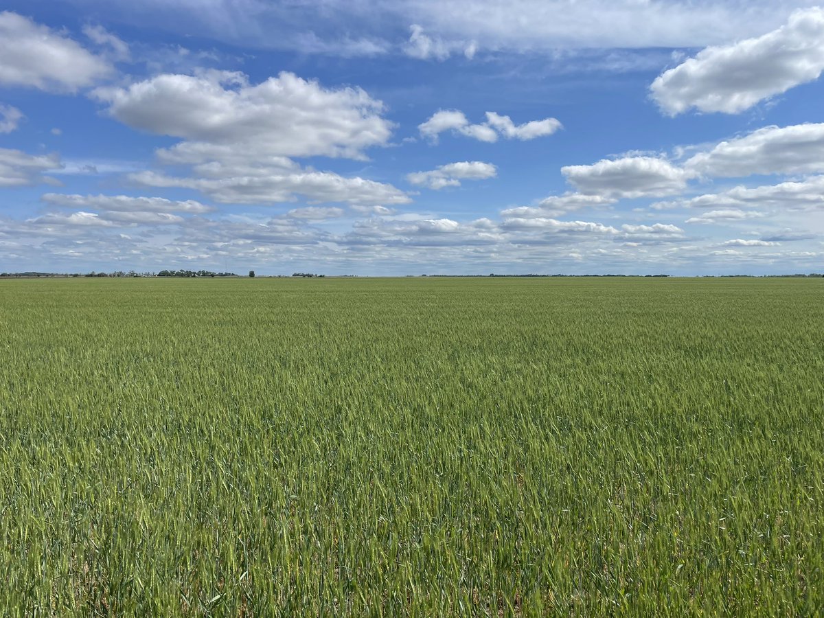 Cascade Commodity Consulting, LLC tweet media