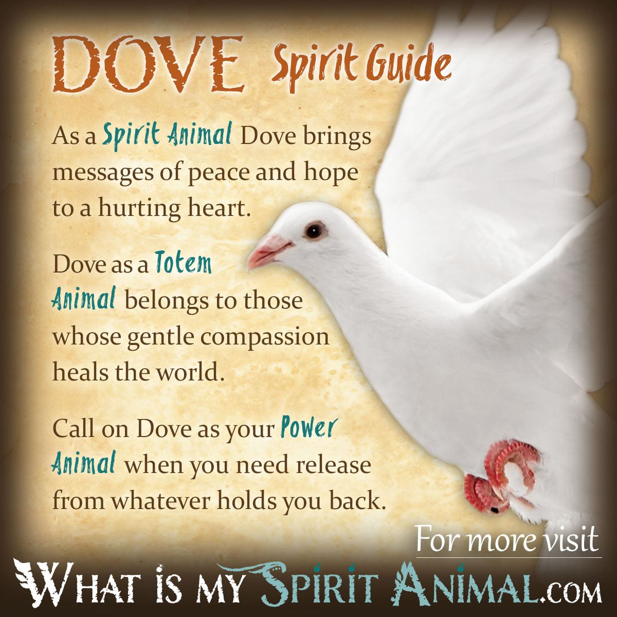 JeffCourville3's tweet image. 37 = 373
1:4 = Dhu'l-Qi'dah 5 = May 13
#79

Watch the Water!!
#CVN-79
#WWG1WGA

Harmony is 🔑 

youtu.be/9Gc4QTqslN4?si…
