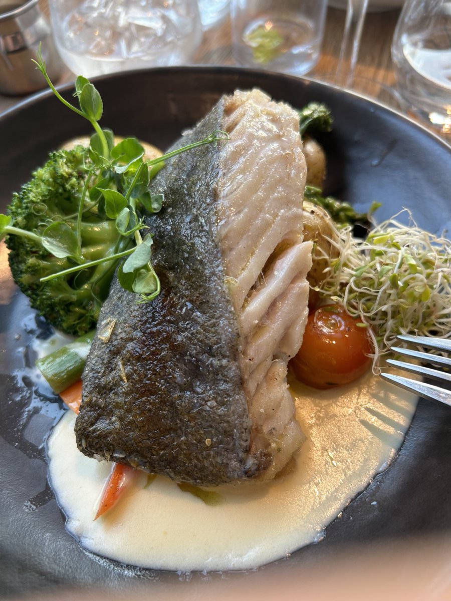 KundakovicLab's tweet image. Greetings from #Bergen , Norway! Would travel anywhere for an opportunity to chat and dine with ⁦@LiisaGalea⁩ &amp;amp; ⁦@CognNeuroend⁩ ! 😊 What a great evening with a view and good food … looking forward to #OSSD2024 !