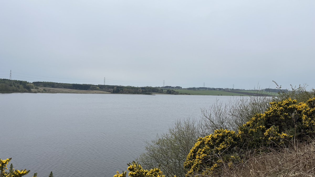 This 81 ha site features a 'sensory trail' , 3km of footpaths & panoramic views of the surrounding countryside. Neighbouring loch due to be drained for mining. Access from the south side of the B914, 1.5 miles west of Junction 4 (Kelty) of the M90
#fife #lochfitty #welcometofife