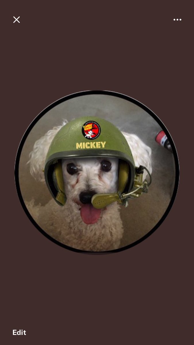 #ZSHQ #zzst Sergeant Mickey reporting. On returning to my area I caught up in pawtrol . A beautiful day with good vision . Nothing unusual occurred. All clear night fantastic squad . Let’s be careful out there as founders day comes to a close ❤️🐾💤