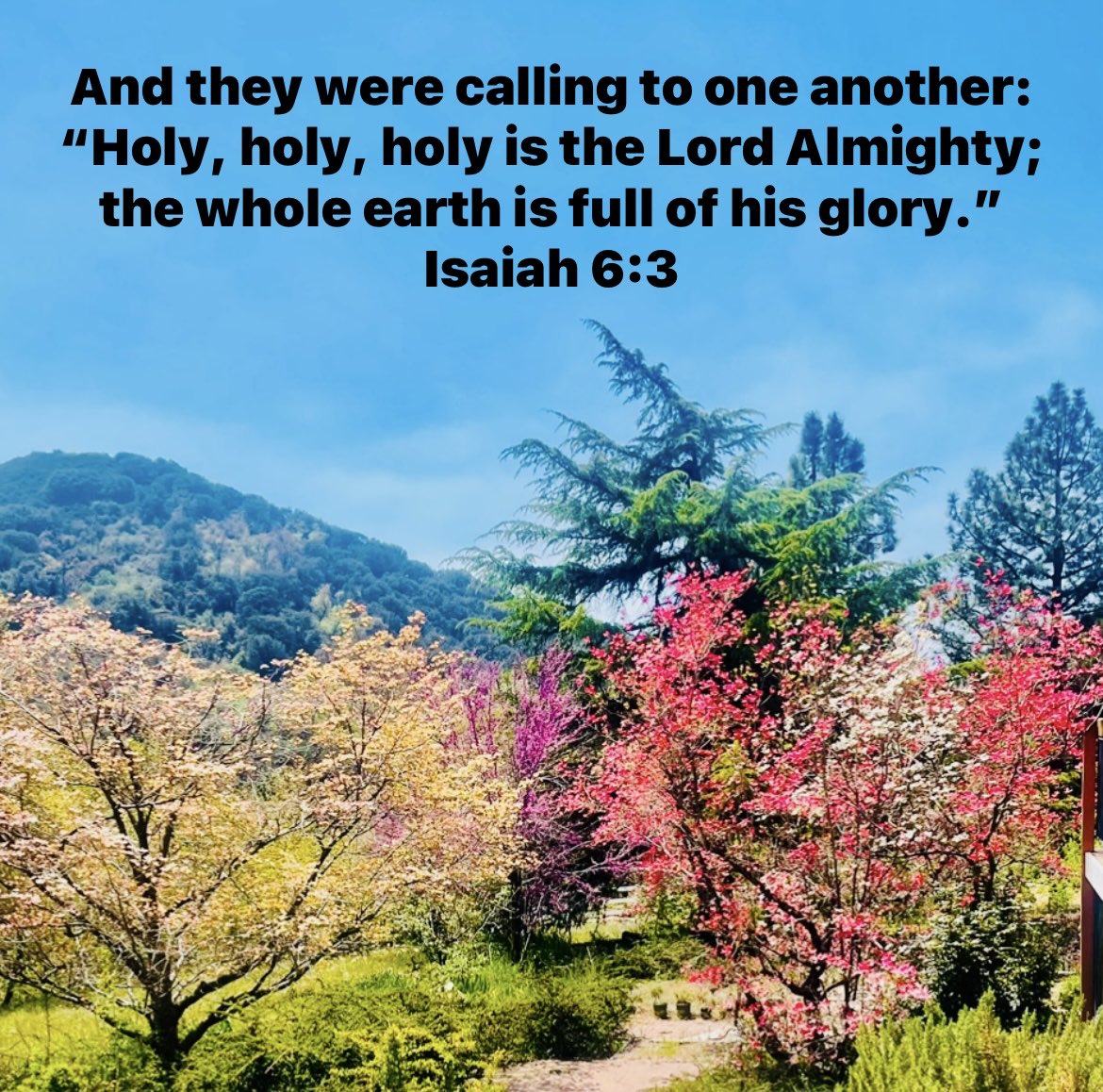 cahartnell's tweet photo. Sabbath Blessings to you on this 4th day of May. Just like the angels in heaven who proclaim the LORD’s glory and holiness, we can as well! Have a #beautiful day! #sabbath #shabbat #blessings #glory #holiness #heaven #joy #holy #landscape #Isaiah6:3 https://t.co/rmR5AKuko0