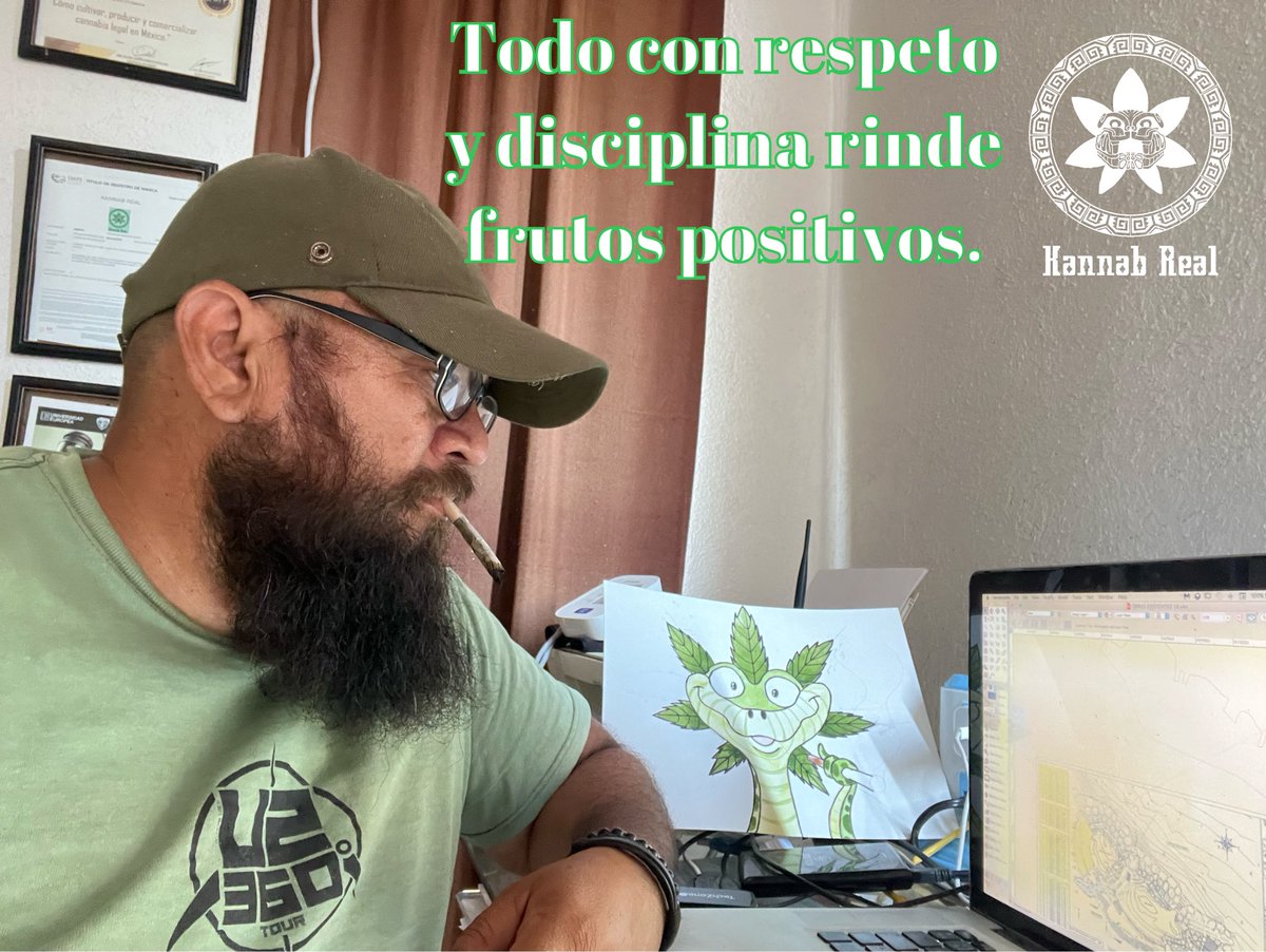 Todo con respeto y disciplina, da frutos positivos.  #KannabRealMedicinal #PotenciaCalidadyPrecio #consultoriocannabico #cannabismedicinal #cannabislifestyle #CannabisLegalYa #cannabisheals #cancer #hipertension #saludybienestar #cannabislife #hierberitocilindrero #charlasverdes