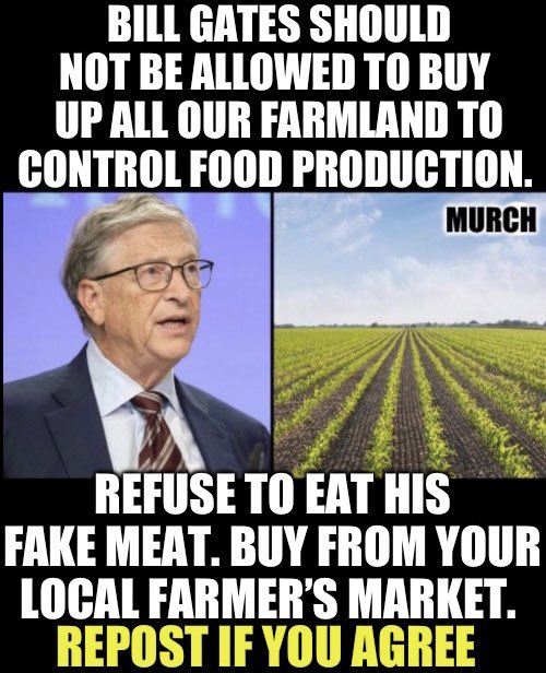 “…Gates, Klaus Schwab & many other WEF politicians are using Climate Change, Pandemics & Wars to bring about total world control through the United Nations & World Economic Forum.” Who agrees Bill Gates is bad for America and the World?🙋‍♂️