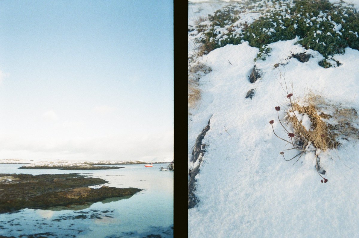 lornarabbit's tweet photo. finally got my last roll of arctic film developed. I miss her ❄️ https://t.co/0jzr7URlqC